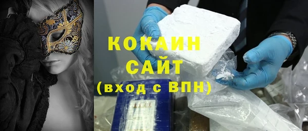 дмт Пересвет