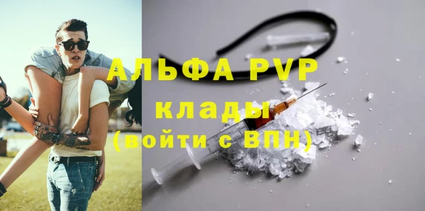 дмт Пересвет