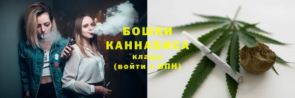 дмт Пересвет