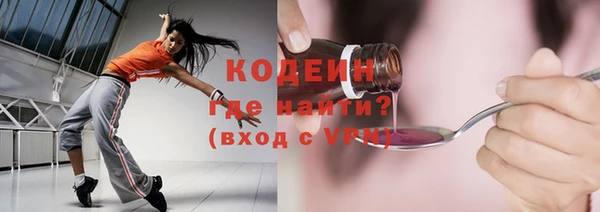 дмт Пересвет