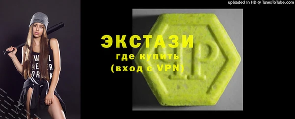дмт Пересвет
