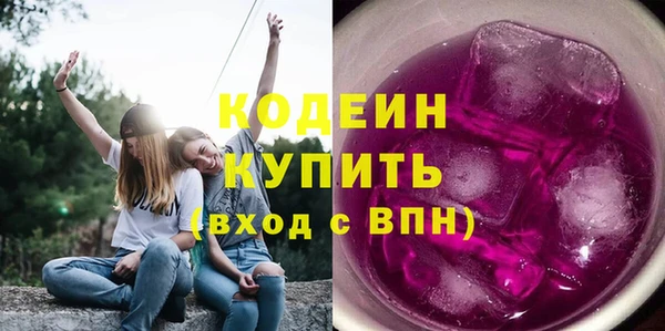 дмт Пересвет