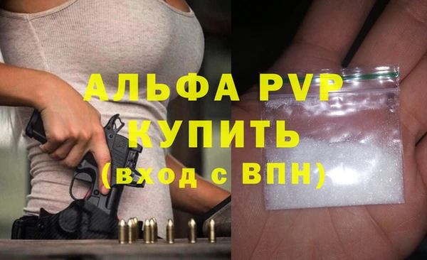 дмт Пересвет