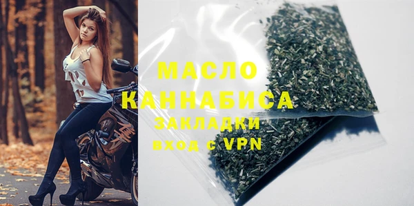 дмт Пересвет