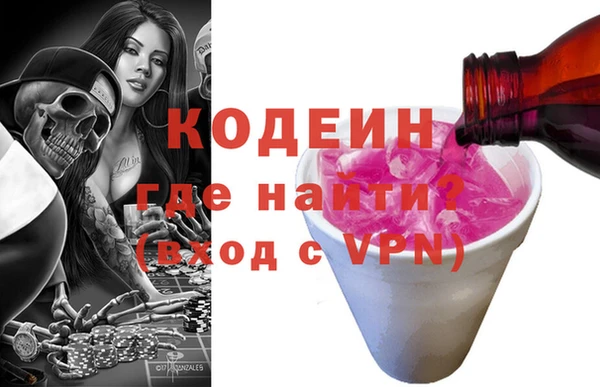 дмт Пересвет