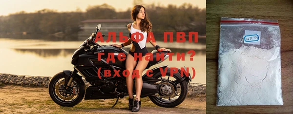 дмт Пересвет