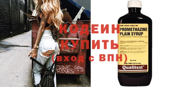 дмт Пересвет