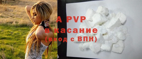 дмт Пересвет
